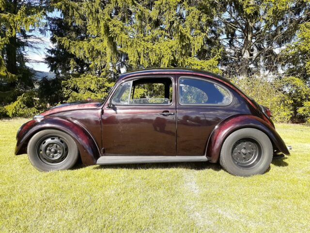 Volkswagen Beetle (Pre-1980) 1974 image number 3