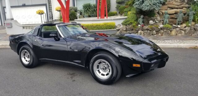 Chevrolet Corvette 1979 image number 11