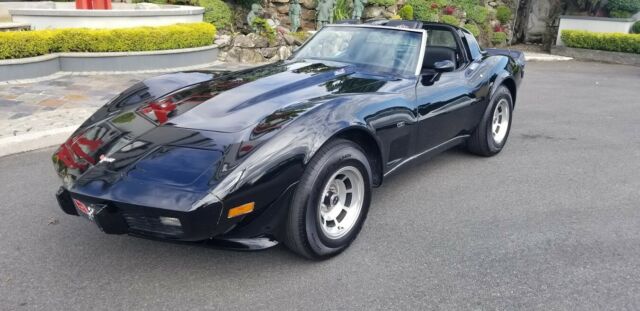 Chevrolet Corvette 1979 image number 17