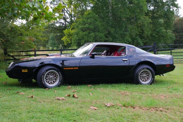 Pontiac Trans Am 1979 image number 14