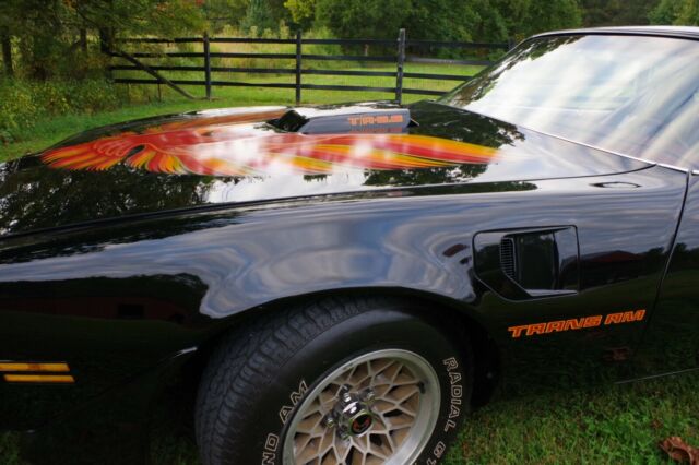 Pontiac Trans Am 1979 image number 28