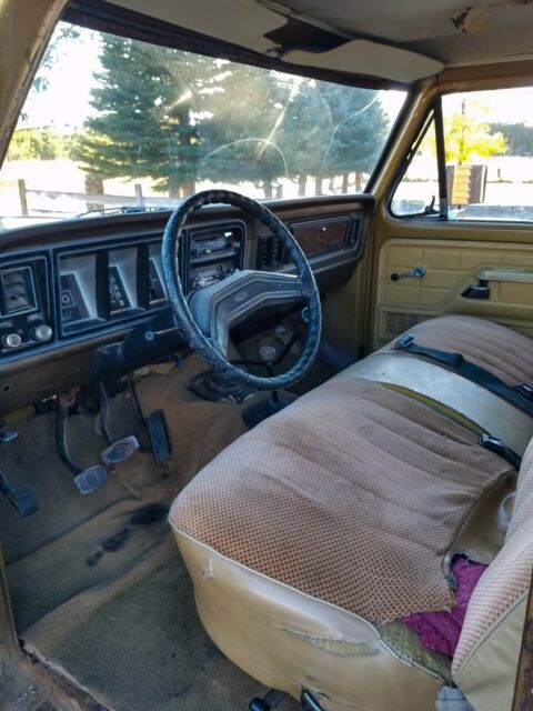 Ford F-250 1979 image number 31