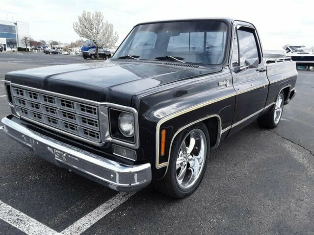 Chevrolet Silverado 1500 1977 image number 0