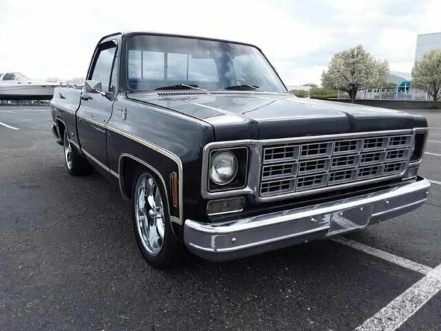 Chevrolet Silverado 1500 1977 image number 1