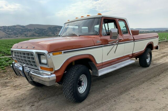 Ford F-150 1978 image number 2