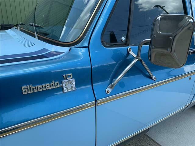 Chevrolet Silverado 1500 1977 image number 6