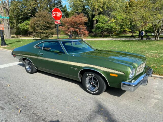 Ford Torino 1973 image number 0