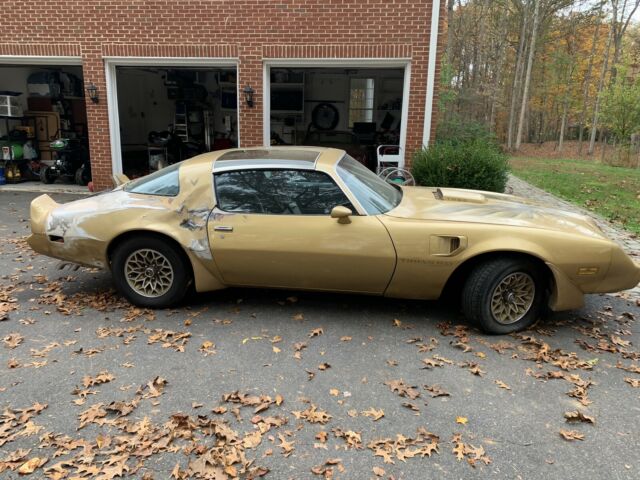 Pontiac Trans Am 1979 image number 11