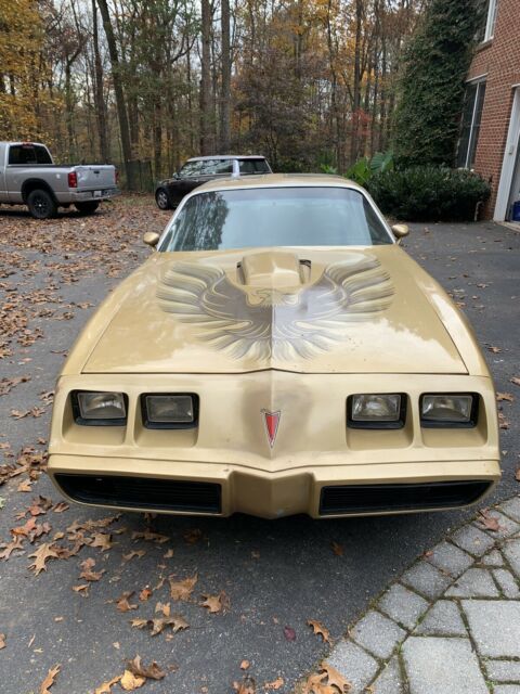 Pontiac Trans Am 1979 image number 12