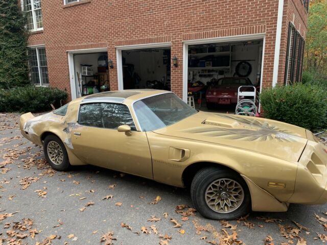 Pontiac Trans Am 1979 image number 8