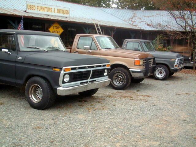 Ford F-100 1976 image number 0