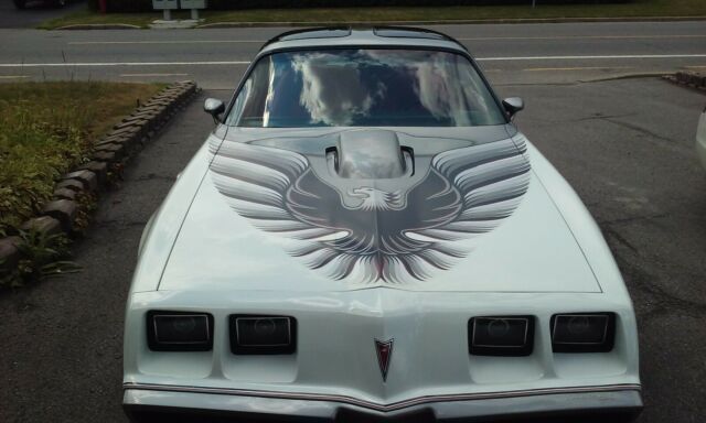 Pontiac Trans Am 1979 image number 16