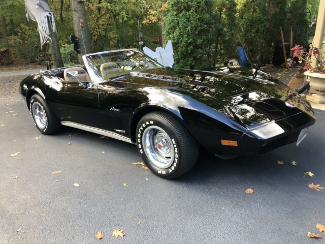 Chevrolet Corvette 5.7 C3 1974 image number 24