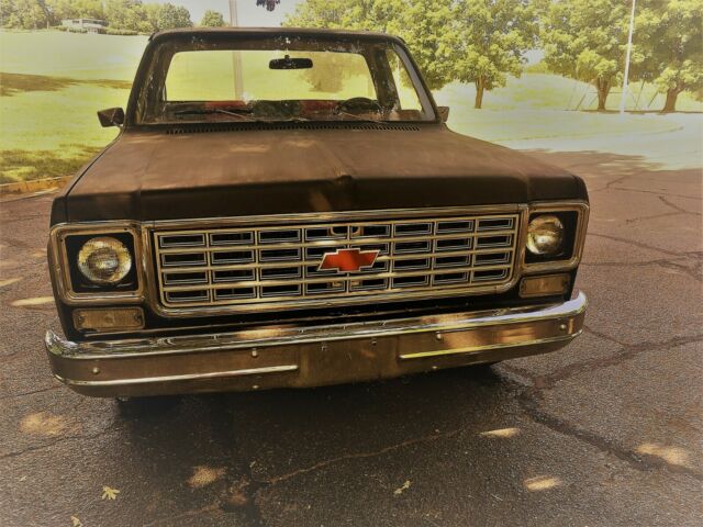 Chevrolet C-10 1977 image number 20