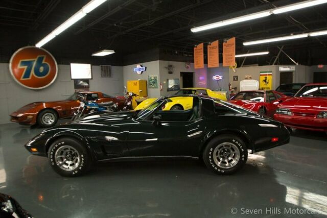 Chevrolet Corvette 1979 image number 10