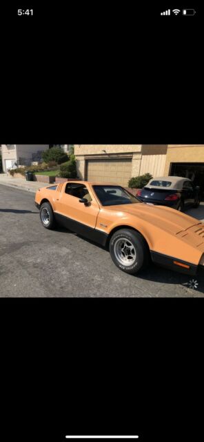 AMC Brinklin SV1 1975 image number 26