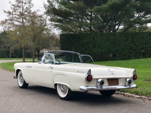 Ford Thunderbird 1955 image number 12