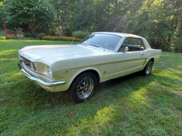 Ford Mustang 1965 image number 16