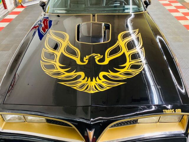 Pontiac Firebird 1978 image number 10