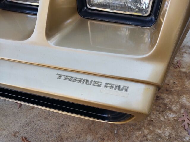 Pontiac Trans Am 1979 image number 10