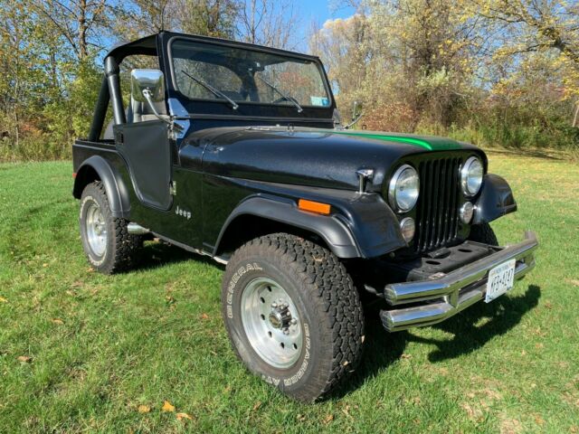 Jeep CJ 1979 image number 0