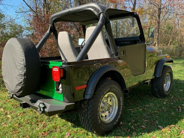 Jeep CJ 1979 image number 2