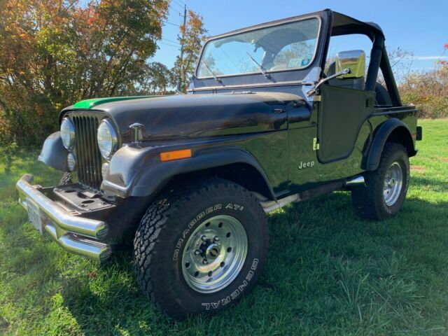 Jeep CJ 1979 image number 6