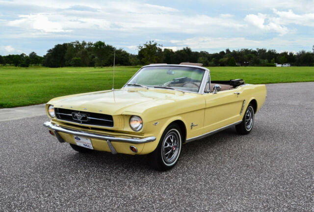 Ford Mustang 1965 image number 16