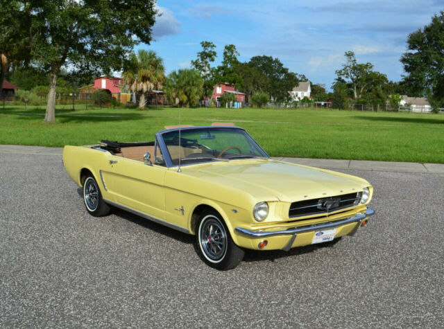 Ford Mustang 1965 image number 28