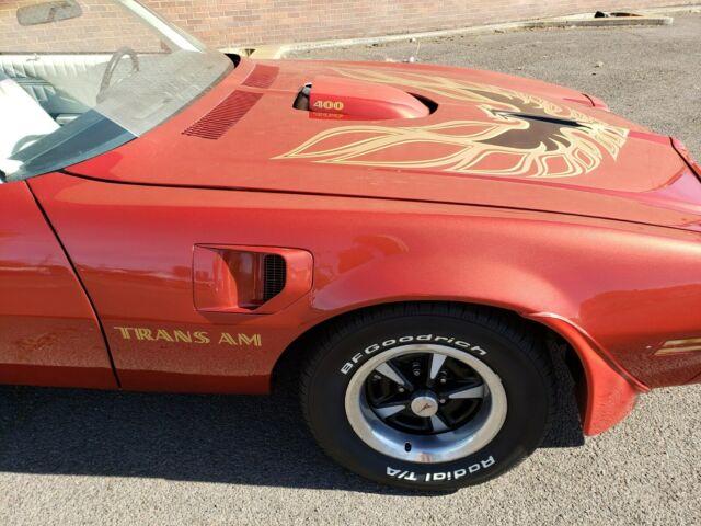 Pontiac Trans Am 1976 image number 9