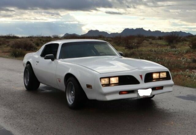 Pontiac Firebird 1978 image number 18