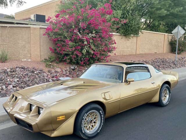 Pontiac Trans Am 1979 image number 0