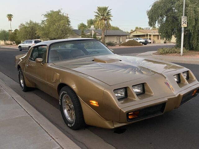 Pontiac Trans Am 1979 image number 30