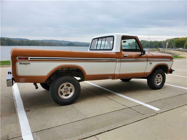 Ford F-150 1976 image number 6