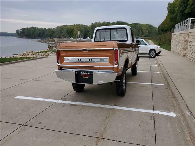 Ford F-150 1976 image number 9