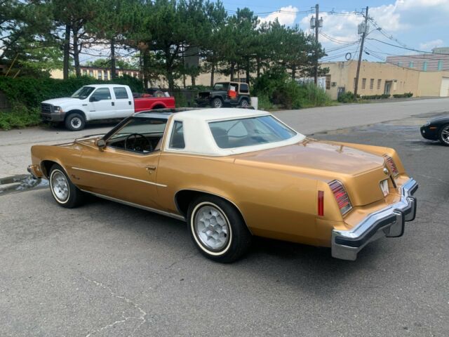 Pontiac Grand Prix 1976 image number 19