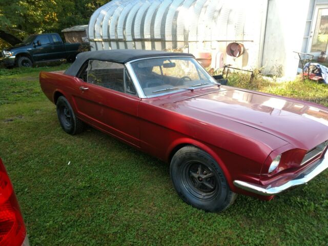 Ford Mustang 1965 image number 1