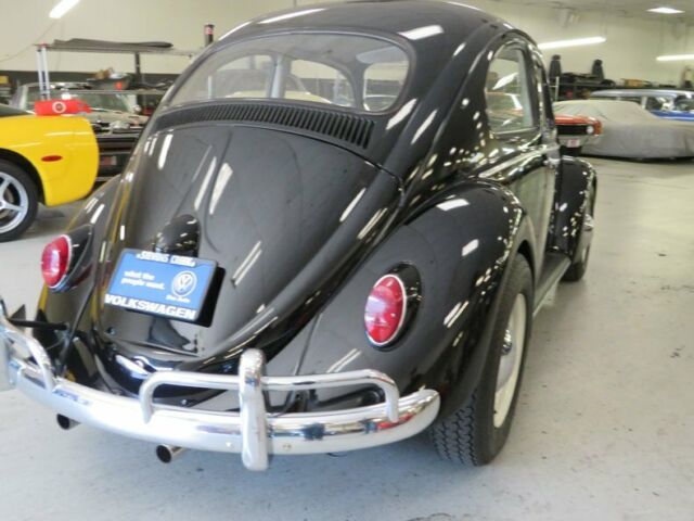 Volkswagen Beetle - Classic 1963 image number 11