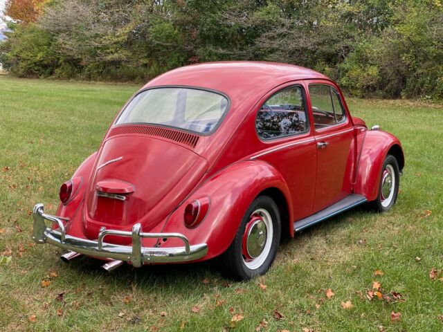 Volkswagen Beetle - Classic 1967 image number 2