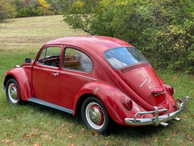 Volkswagen Beetle - Classic 1967 image number 3