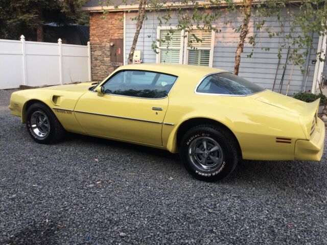 Pontiac Firebird Trans Am 1977 image number 0