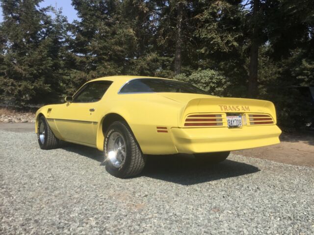 Pontiac Firebird Trans Am 1977 image number 12