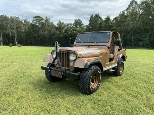 Jeep CJ-5 1979 image number 2