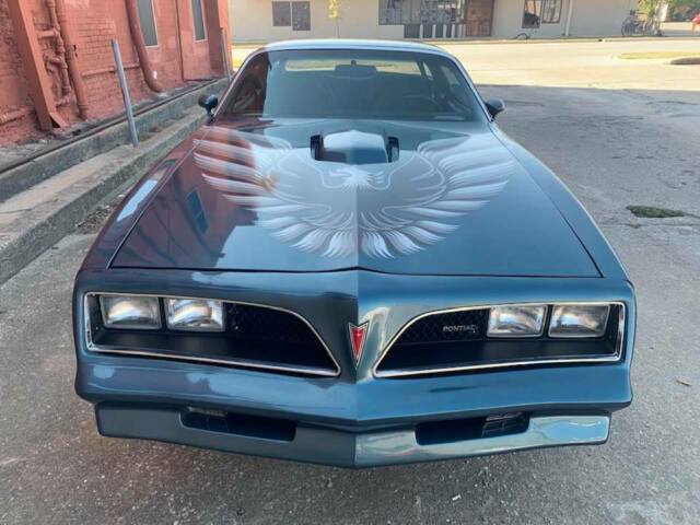 Pontiac Trans Am 1976 image number 30