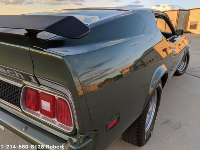 Ford Mustang 1973 image number 6