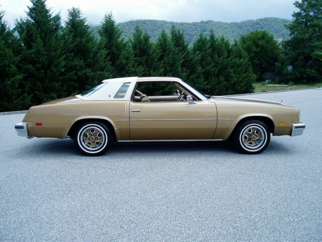 Oldsmobile Cutlass 1977 image number 1