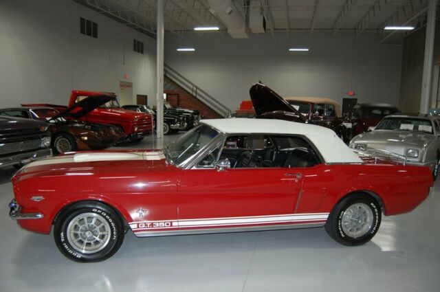 Ford Mustang GT 350 Convertible Tribute 1966 image number 15