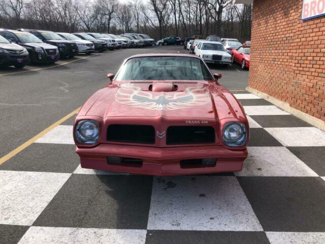 Pontiac Trans Am 1976 image number 6