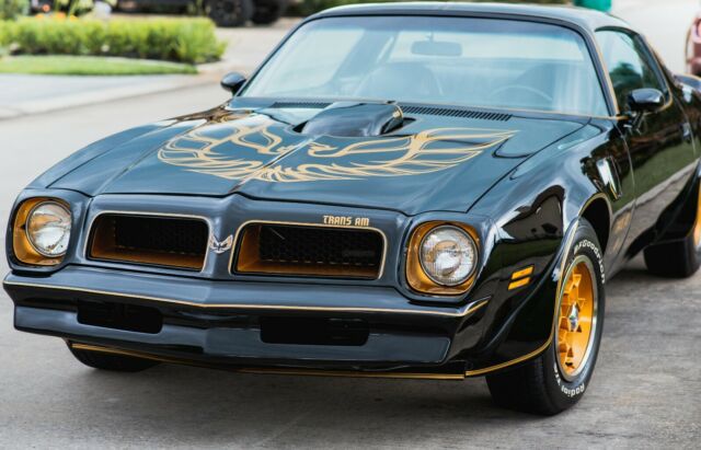 Pontiac Trans Am 1976 image number 1