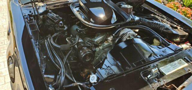 Pontiac Trans Am 1976 image number 15